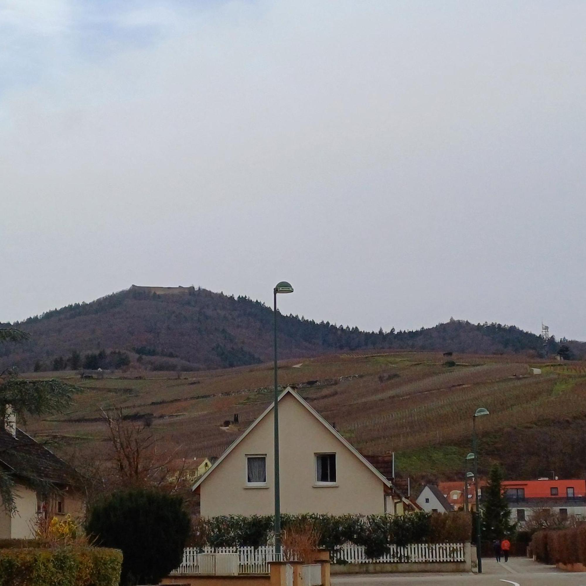 Hotel Les Vignobles D'Alsace Wintzenheim Exteriér fotografie