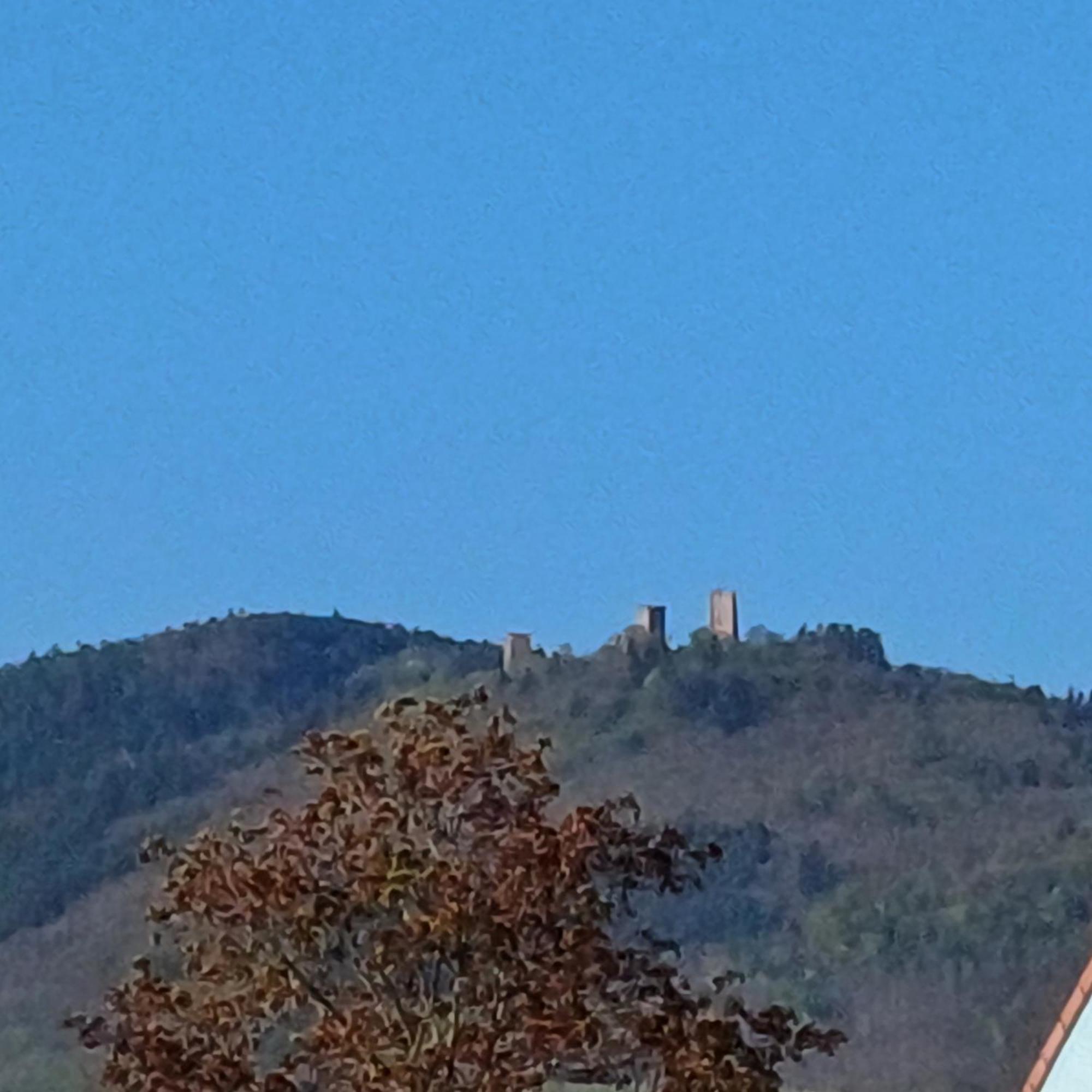 Hotel Les Vignobles D'Alsace Wintzenheim Exteriér fotografie